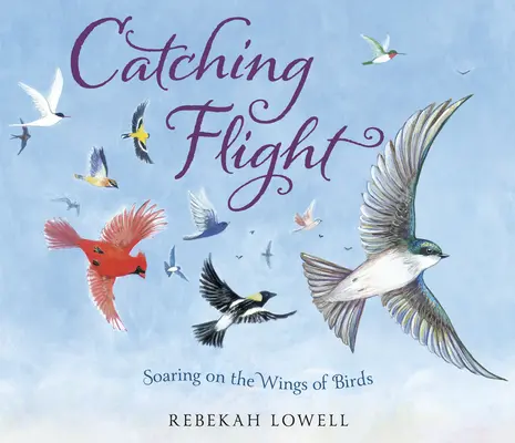 Prendre son envol : S'envoler sur les ailes des oiseaux - Catching Flight: Soaring on the Wings of Birds