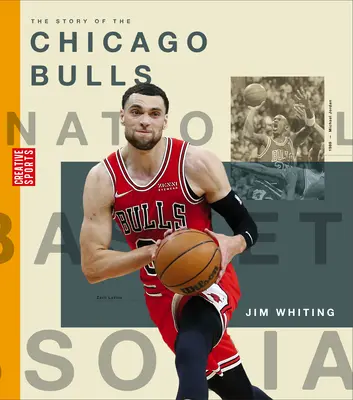 L'histoire des Bulls de Chicago - The Story of the Chicago Bulls