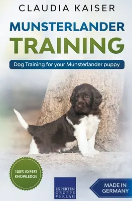 Dressage du Munsterlander - Dressage canin pour votre chiot Munsterlander - Munsterlander Training - Dog Training for your Munsterlander puppy