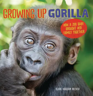Growing Up Gorilla : Comment un bébé du zoo a réuni sa famille - Growing Up Gorilla: How a Zoo Baby Brought Her Family Together