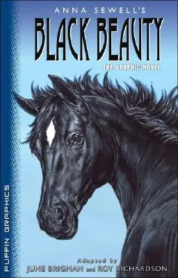 Puffin Graphics : Beauté noire - Puffin Graphics: Black Beauty