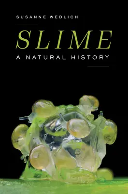 La bave : Une histoire naturelle - Slime: A Natural History