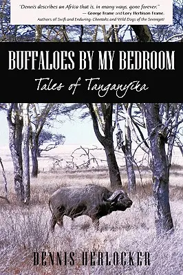 Les buffles de ma chambre - Buffaloes by My Bedroom