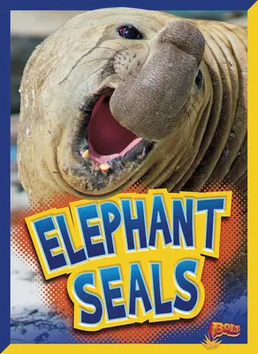 Éléphants de mer - Elephant Seals