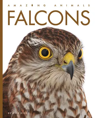 Faucons - Falcons