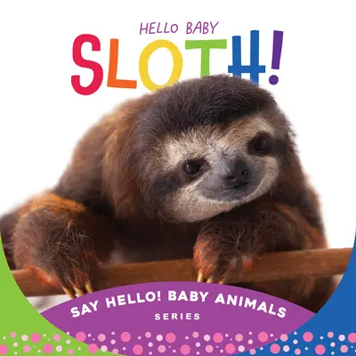 Bonjour bébé paresseux ! - Hello Baby Sloth!