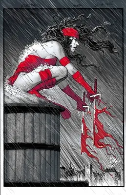 Elektra : Black, White & Blood Treasury Edition - Elektra: Black, White & Blood Treasury Edition