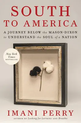 Le Sud de l'Amérique : Un voyage sous le Mason-Dixon pour comprendre l'âme d'une nation - South to America: A Journey Below the Mason-Dixon to Understand the Soul of a Nation