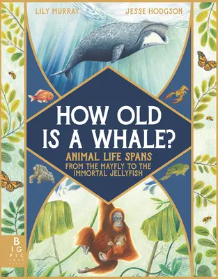 Quel âge a une baleine ? La durée de vie des animaux, de l'éphémère à la méduse immortelle - How Old Is a Whale?: Animal Life Spans from the Mayfly to the Immortal Jellyfish