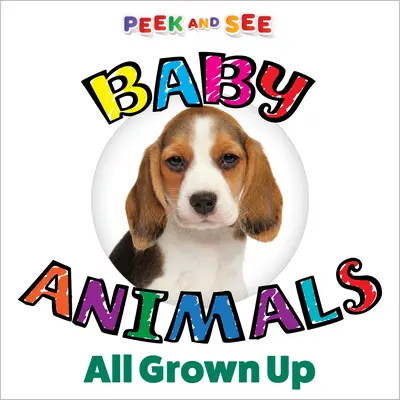 Les bébés animaux grandissent à vue d'œil - Peek and See Baby Animals All Grown Up