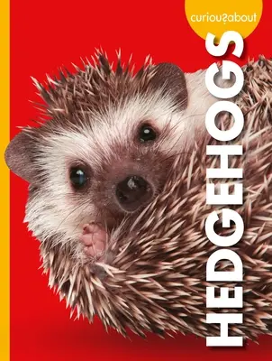 Curieux au sujet des hérissons - Curious about Hedgehogs