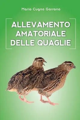 Allégement amatoriale des quaglies - Allevamento amatoriale delle quaglie