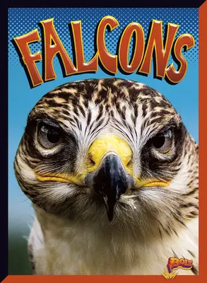 Faucons - Falcons