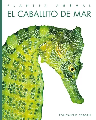 Le Caballito de Mar - El Caballito de Mar