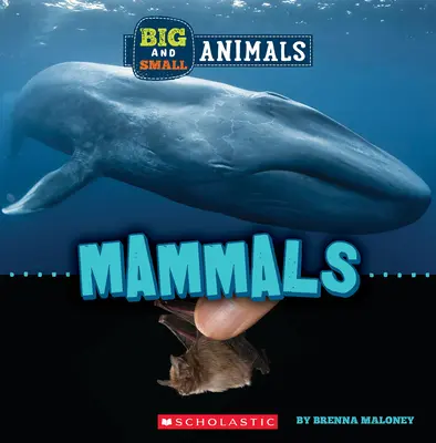 Mammifères (Le monde sauvage : petits et grands animaux) - Mammals (Wild World: Big and Small Animals)