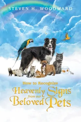 Comment reconnaître les signes célestes de nos animaux de compagnie bien-aimés - How to Recognize Heavenly Signs from Our Beloved Pets