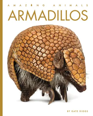 Tatous - Armadillos