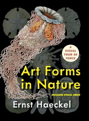 Les formes d'art dans la nature (Dover Pictorial Archive) - Art Forms in Nature (Dover Pictorial Archive)