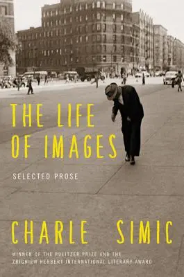 La vie des images - The Life of Images