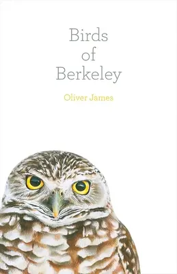 Les oiseaux de Berkeley - Birds of Berkeley