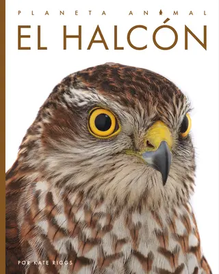 El Halcn