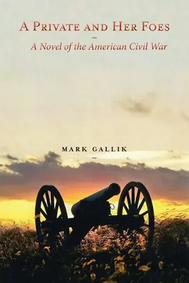 Un soldat et ses ennemis : Un roman de la guerre civile américaine - A Private and Her Foes: A Novel of the American Civil War