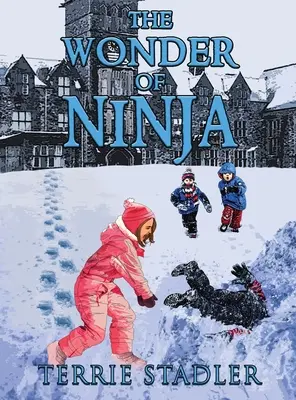 Les merveilles de Ninja - The Wonder of Ninja