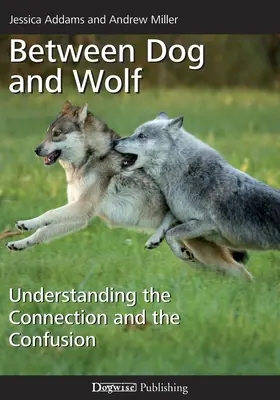 Entre chien et loup : comprendre le lien et la confusion - Between Dog and Wolf: Understanding the Connection and the Confusion