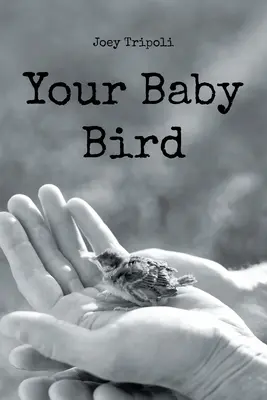 Votre bébé oiseau - Your Baby Bird