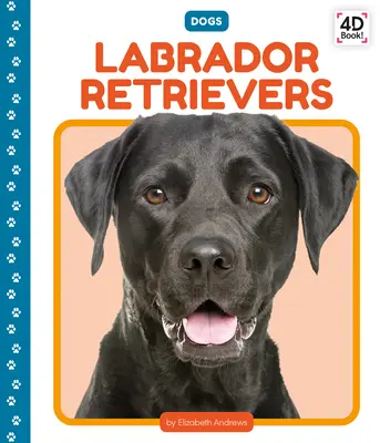 Les labradors - Labrador Retrievers