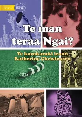 Quel animal suis-je ? - Te man teraa Ngai (Te Kiribati) - What Animal am I? - Te man teraa Ngai? (Te Kiribati)