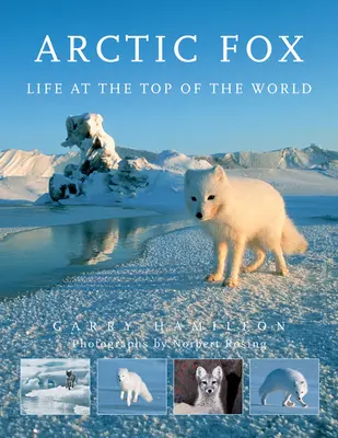 Le renard arctique : La vie au sommet du monde - Arctic Fox: Life at the Top of the World