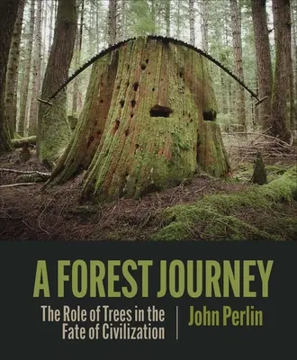 Un voyage en forêt : Le rôle des arbres dans le destin de la civilisation - A Forest Journey: The Role of Trees in the Fate of Civilization