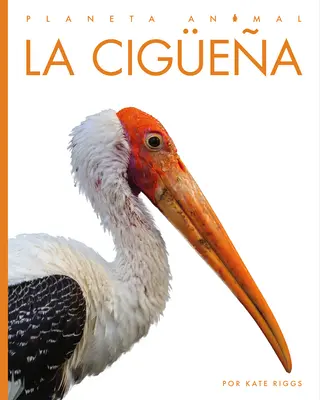 La Cigea