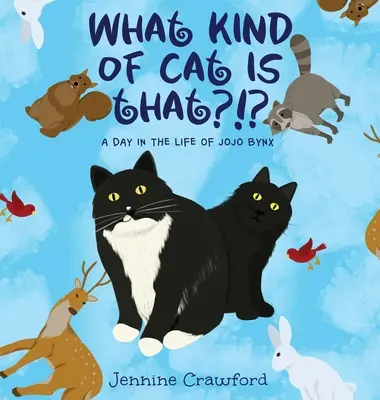 Quel genre de chat est-ce ? Une journée dans la vie de Jojo Bynx - What Kind of Cat is That?!?: A Day in the Life of Jojo Bynx