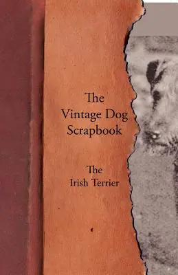 L'album souvenir du chien - Le terrier irlandais - The Vintage Dog Scrapbook - The Irish Terrier