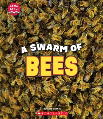Un essaim d'abeilles (En savoir plus sur les animaux) - A Swarm of Bees (Learn About: Animals)