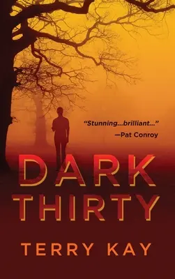 Trente heures sombres - Dark Thirty