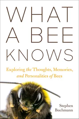 Ce que sait une abeille : explorer les pensées, les souvenirs et la personnalité des abeilles - What a Bee Knows: Exploring the Thoughts, Memories, and Personalities of Bees