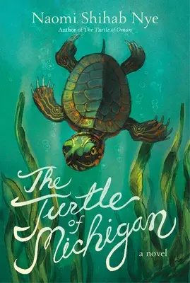 La tortue du Michigan - The Turtle of Michigan