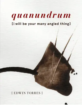 Quanundrum : [I Will Be Your Many Angled Thing] (Je serai ta chose à angles multiples) - Quanundrum: [I Will Be Your Many Angled Thing]