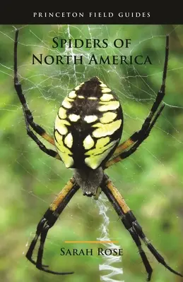 Les araignées d'Amérique du Nord - Spiders of North America