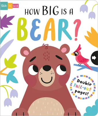 Quelle est la taille d'un ours ? - How Big Is a Bear?