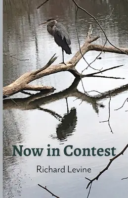 Maintenant en concours - Now in Contest