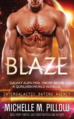 L'embrasement : Un roman du monde des Qurilixen - Blaze: A Qurilixen World Novella