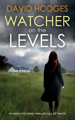 WATCHER ON THE LEVELS un thriller policier addictif et plein de rebondissements - WATCHER ON THE LEVELS an addictive crime thriller full of twists