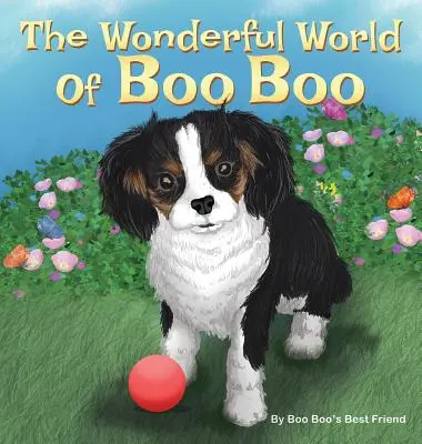 Le monde merveilleux de Boo Boo - The Wonderful World Of Boo Boo