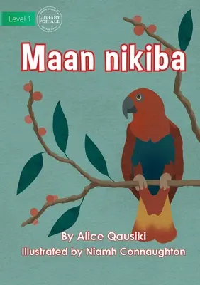 Oiseaux - Maan nikiba - Birds - Maan nikiba