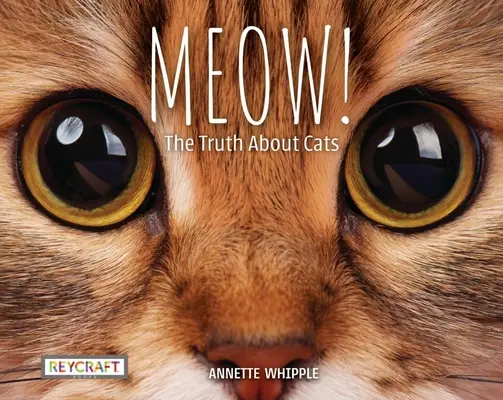 Miaou ! la vérité sur les chats - Meow! the Truth about Cats