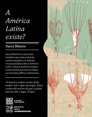 L'Amérique latine existe-t-elle ? - A Amrica Latina Existe?